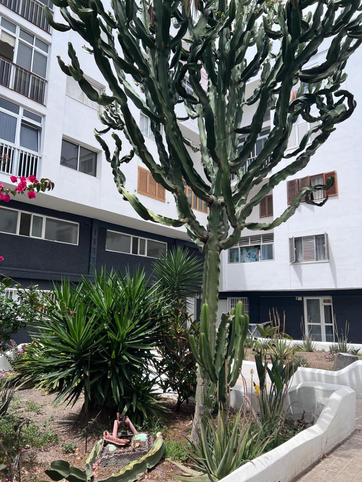 Relax Apartamento 3 Las Palmas de Gran Canárias Exterior foto
